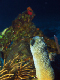 DSC00009a