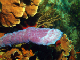 DSC00012a