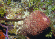 DSC00015a