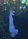 DSC00016a