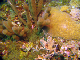 DSC00017