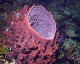 DSC00018a