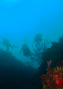 DSC00019a