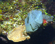 DSC00020b