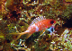 DSC00020c