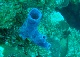 DSC00023b