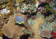 DSC00030