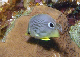 DSC00030a