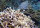 DSC00034a