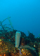 DSC00038a