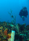 DSC00039a