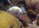 DSC00040