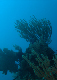 DSC00040a