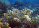 DSC00046