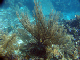 DSC00047a
