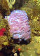 DSC00049a