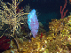 DSC00050
