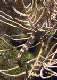 DSC00052