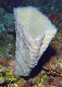 DSC00056a