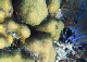 DSC00057a
