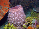 DSC00058a