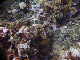 DSC00063a