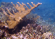 DSC00064a