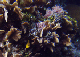DSC00070