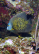 DSC00078a