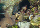 DSC00080
