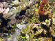 DSC00081