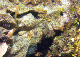 DSC00082