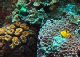 DSC00082a