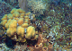 DSC00085a