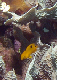 DSC00087