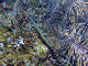 DSC00090