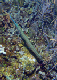 DSC00090a