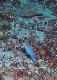 DSC00096