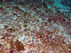 DSC00097