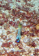 DSC00097a