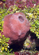 DSC00110a