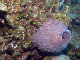 DSC00113a