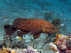 DSC00155