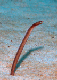 DSC00170