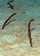 DSC00171