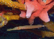DSC00173
