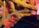 DSC00175a
