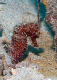 DSC00188