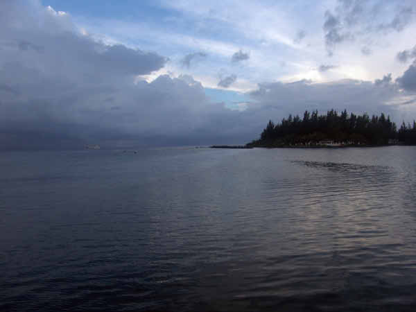 DSC00019