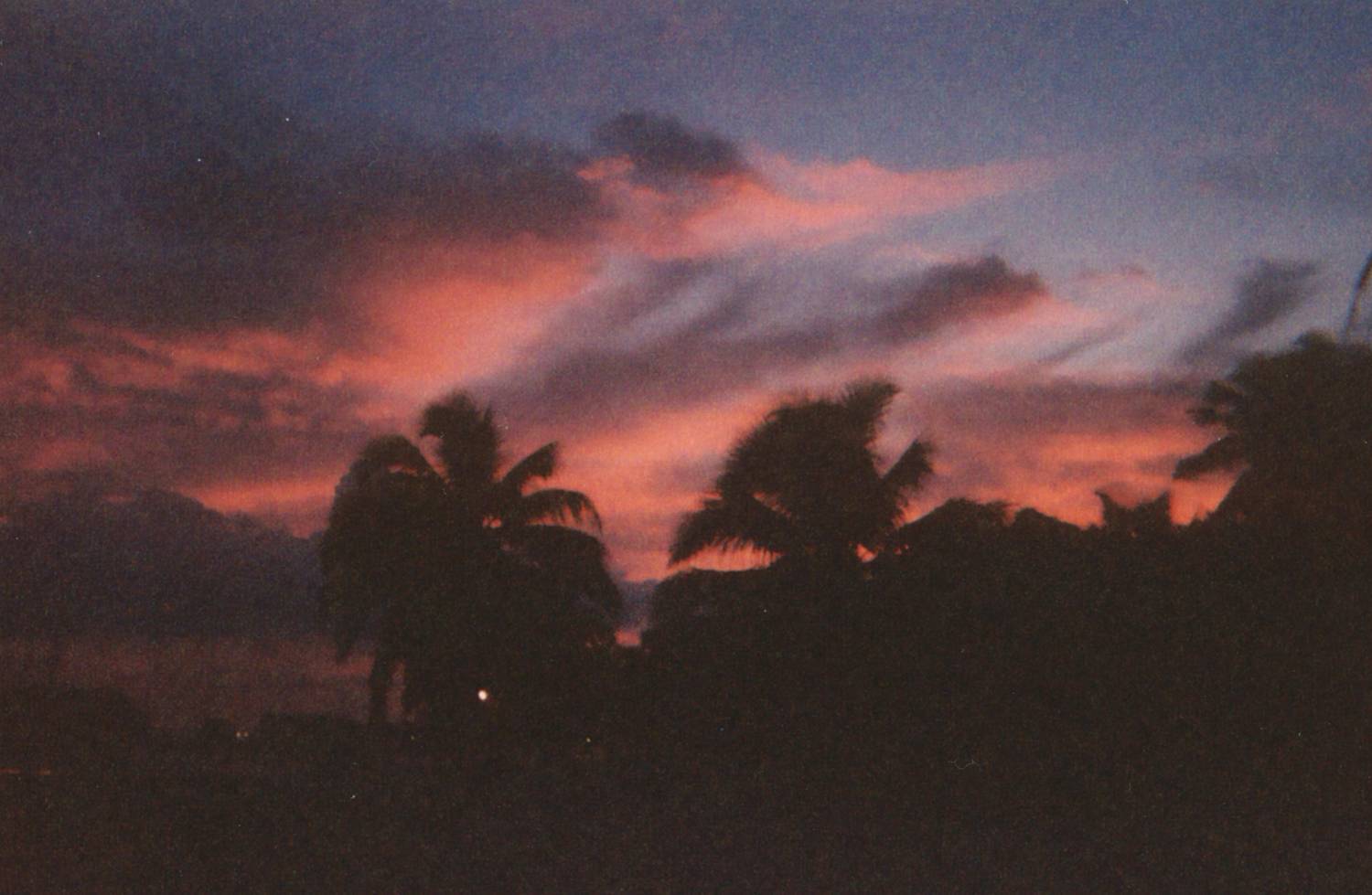 Night Shot